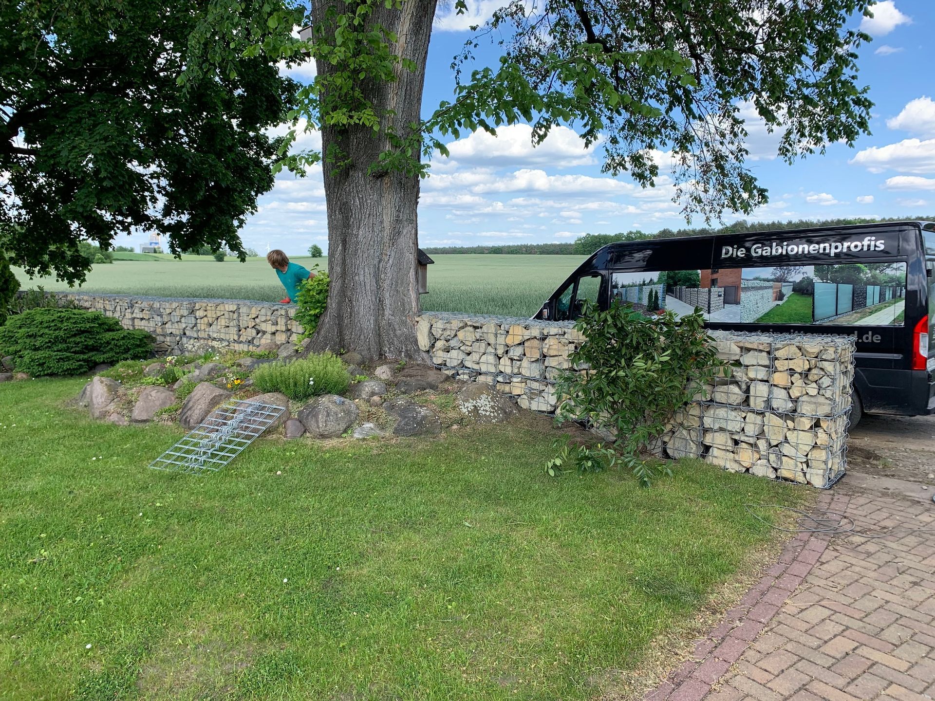 Eine Gabionenmauer umgibt einen Baum auf einer Rasenfläche. Eine Person schaut hinter dem Baum hervor, und in der Nähe parkt ein Lieferwagen mit einem Logo.