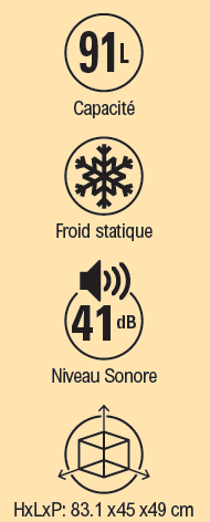 Capacité 91 L, froid statique, niveau sonore 41 dB, HxLxP :  83,1 x 45 x 49 cm.