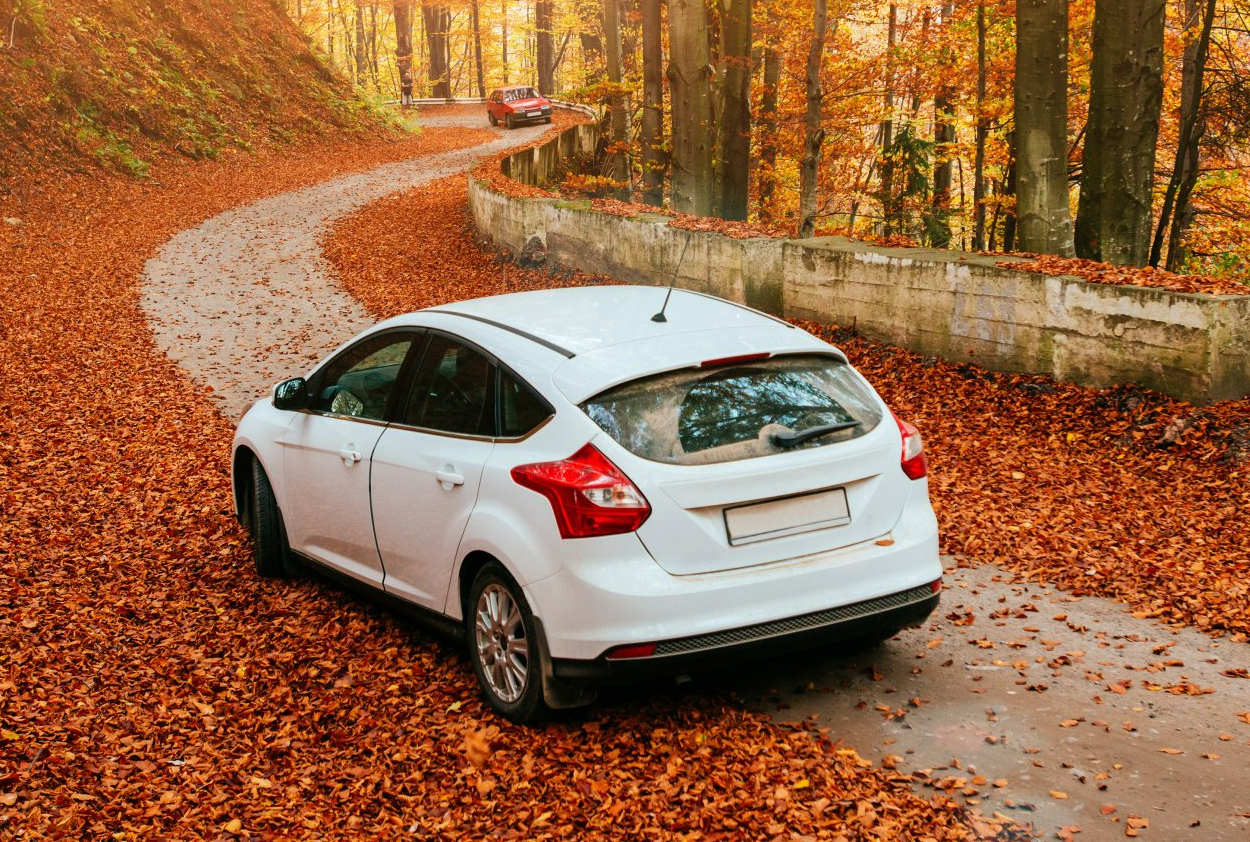 Voiture blanche roulant sur les feuilles mortes