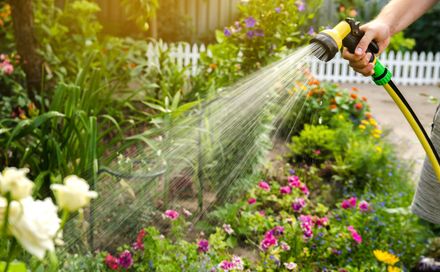 Eine Person gießt Blumen in einem Garten mit einem Schlauch, Zemp Gartenbau GmbH