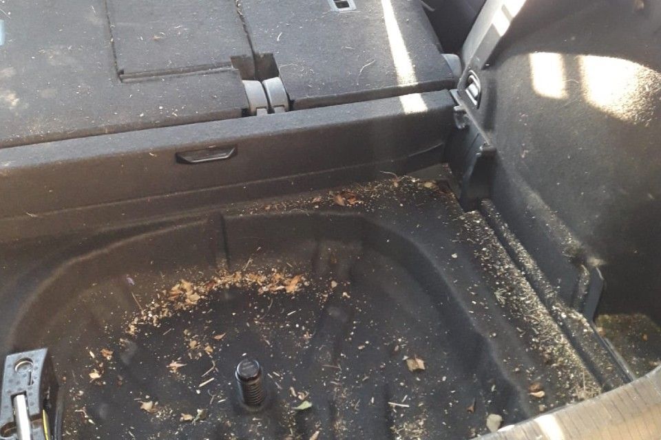 Kofferraum von WFP Clean Oberflächentechnik GmbH