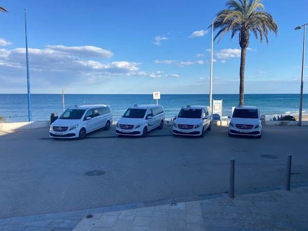 Cuatro camionetas blancas están estacionadas en un estacionamiento cerca del océano.