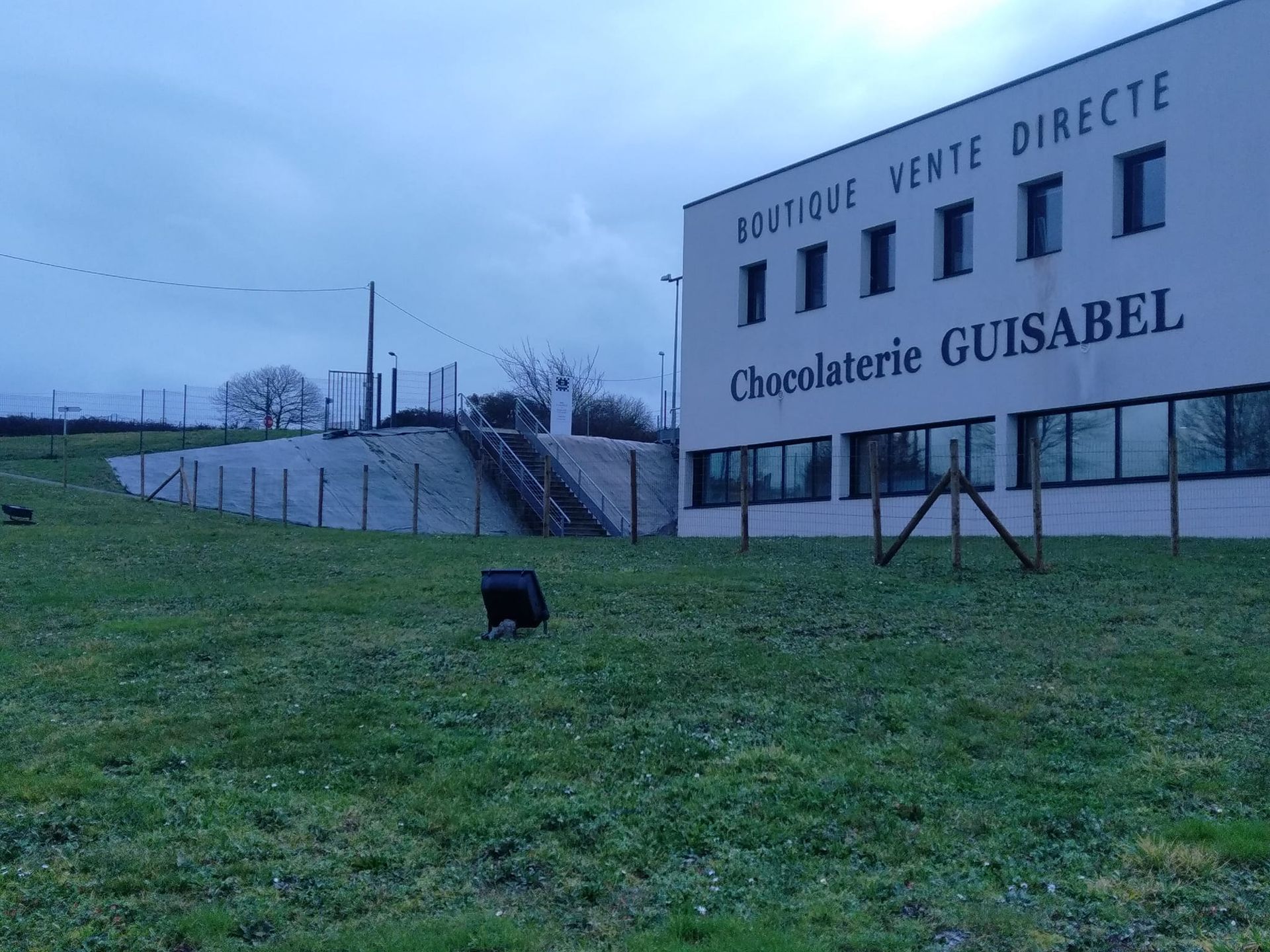 Des animaux devant un espace vert