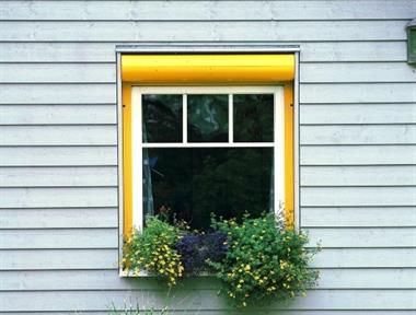 Fenster