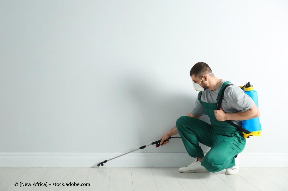 Schädlingsbekämpfung Veit-Leinfelden