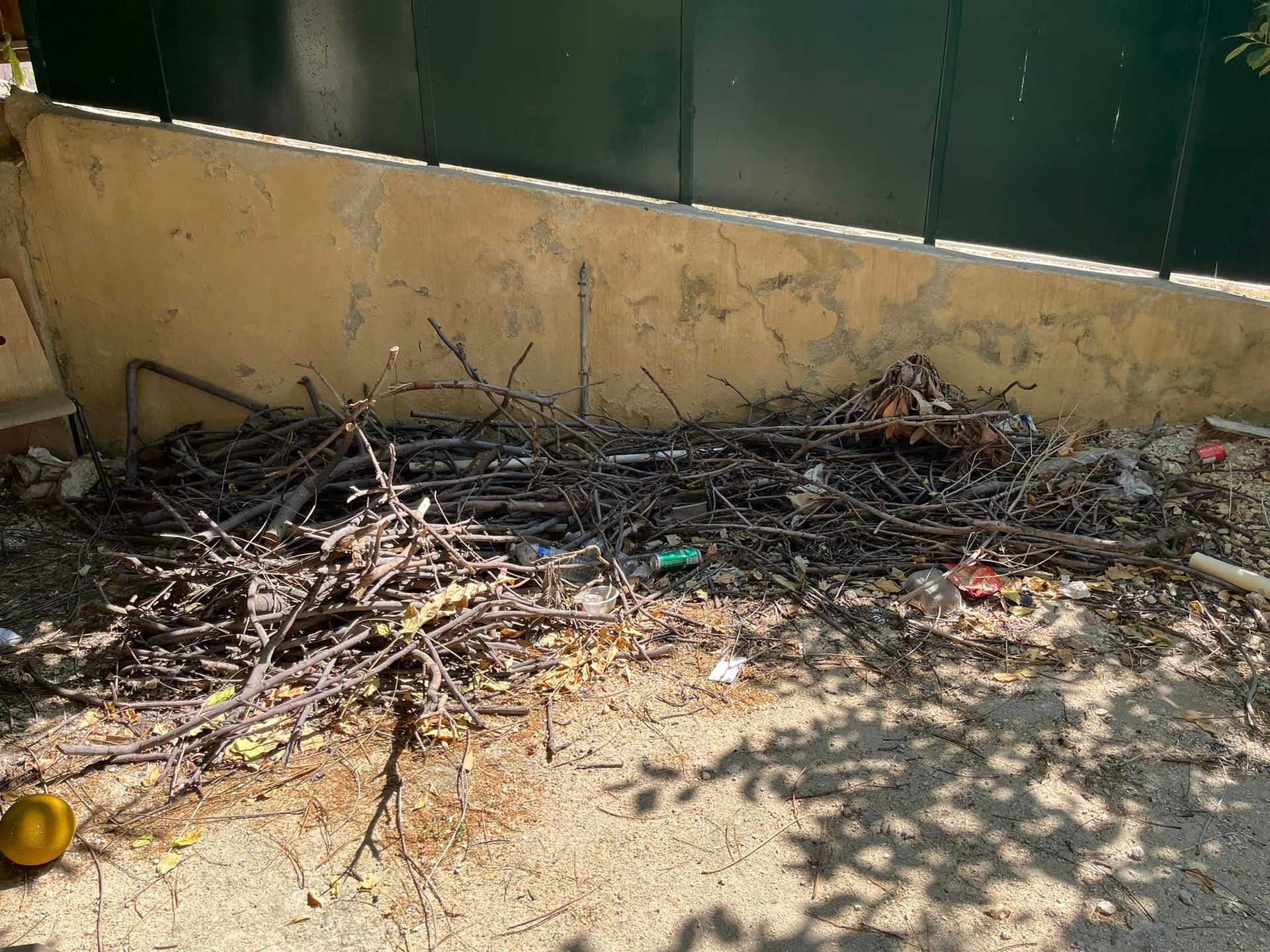 A pile of branches is sitting on the ground in front of a fence.