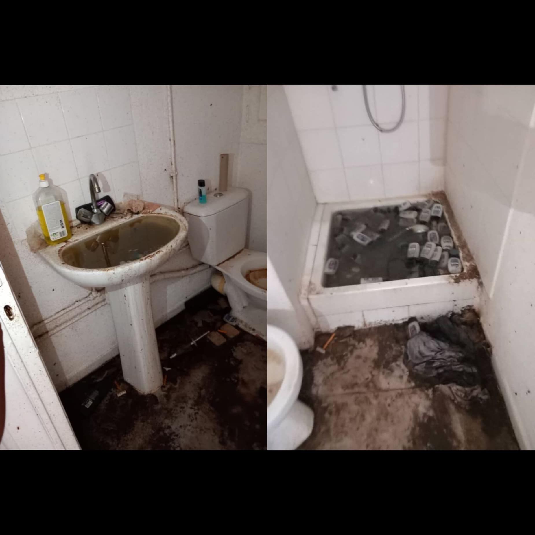 A bathroom with a sink , toilet and shower.