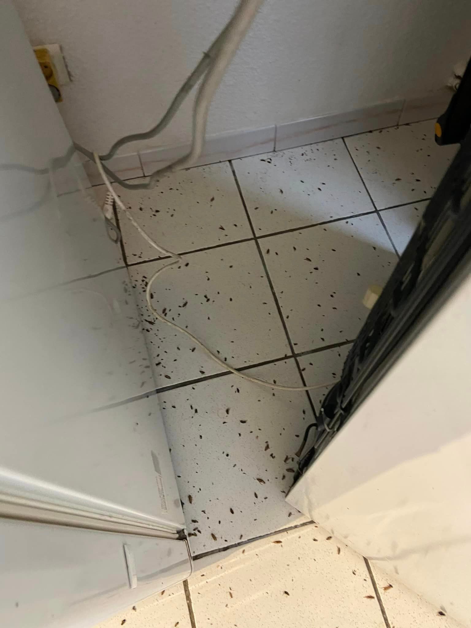 A close up of a tiled floor next to a refrigerator.