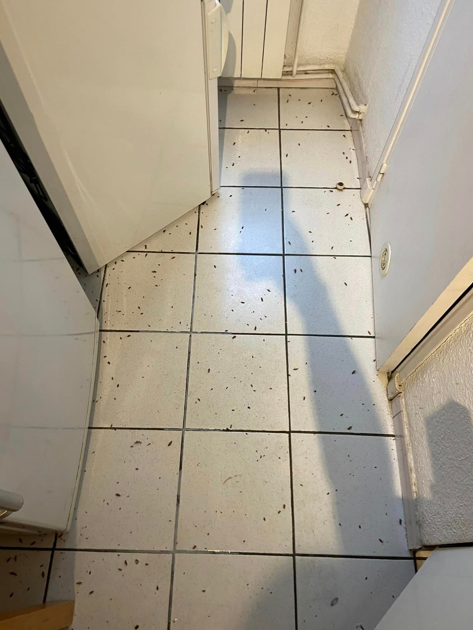 A shadow of a person is cast on a tiled floor