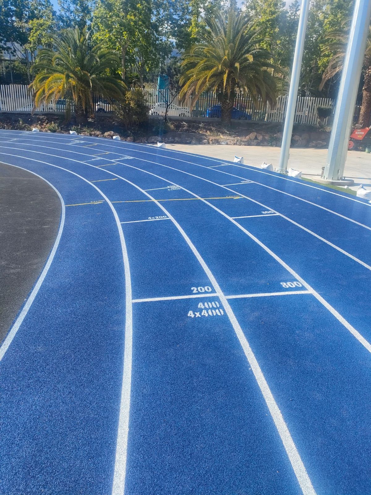 Una pista azul con líneas blancas y árboles al fondo.