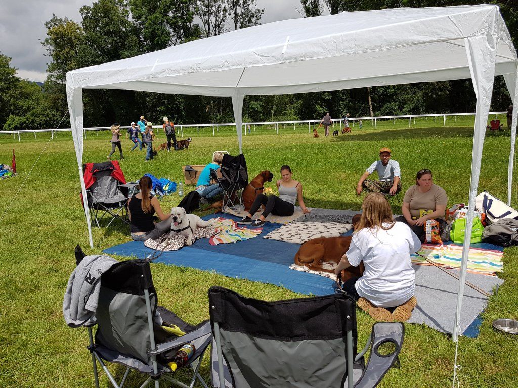 Boxerzucht Shiva`s Castle