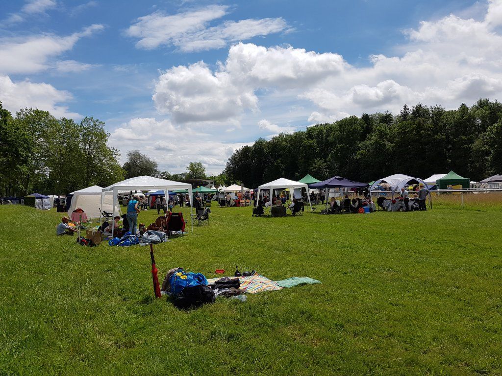 Boxerzucht Shiva`s Castle