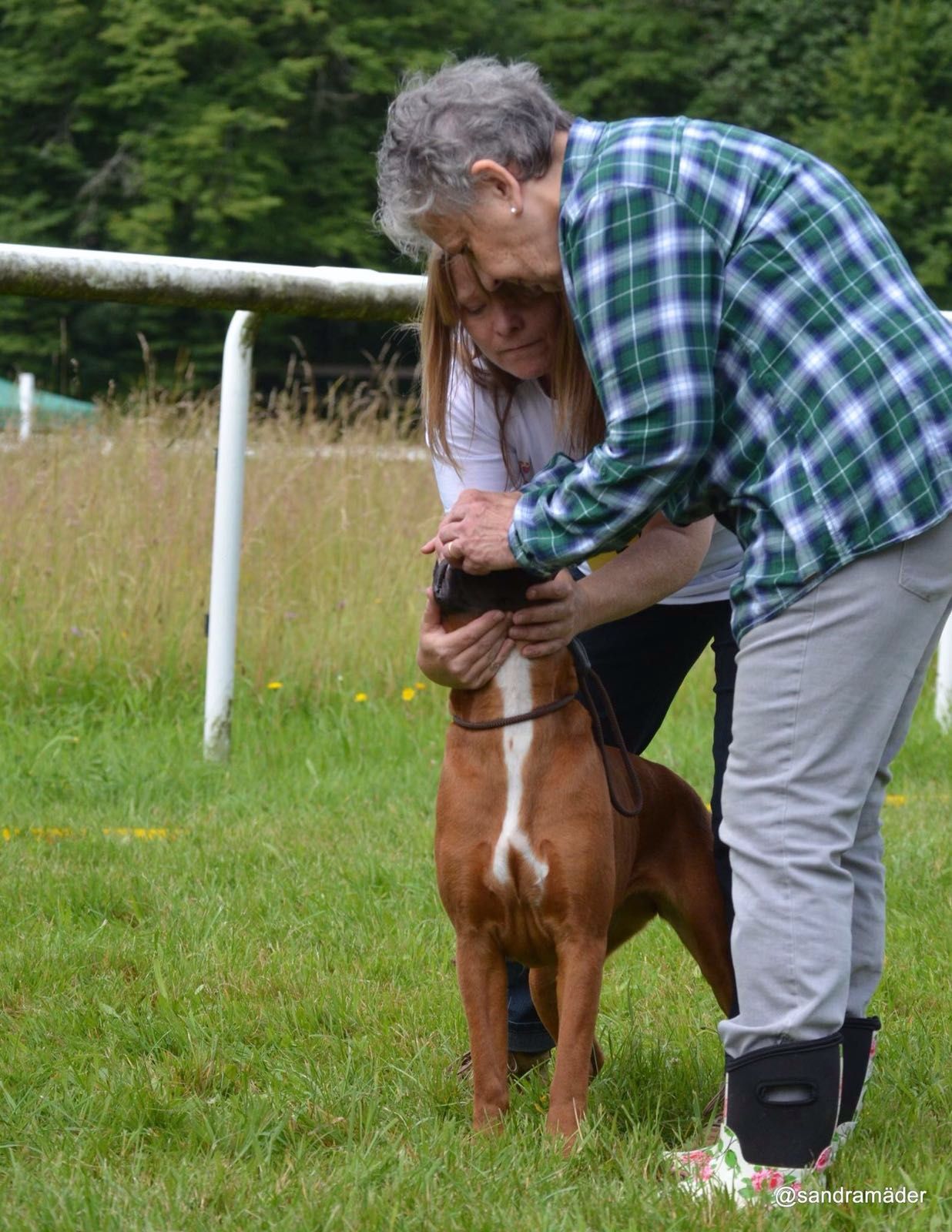 Boxerzucht Shiva`s Castle

