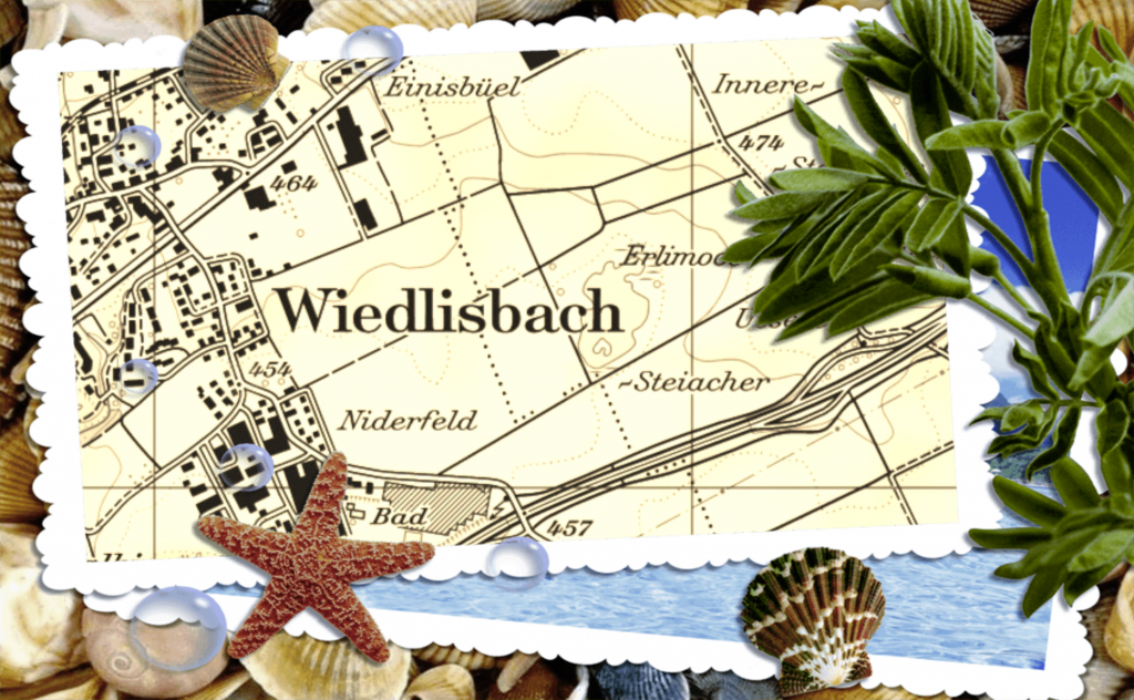 Boxerzucht Shiva`s Castle