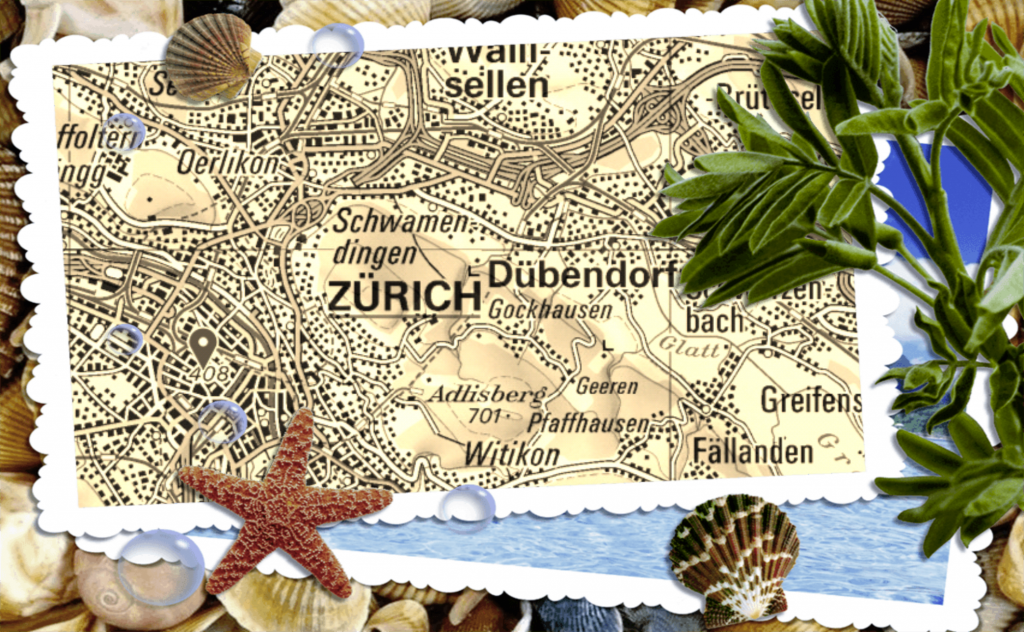 Boxerzucht Shiva`s Castle