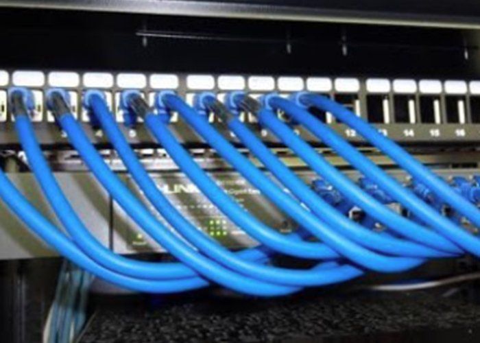 Plusieurs câbles ethernet branchés en réseau