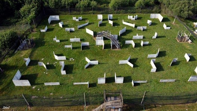 Un terrain d'airsoft