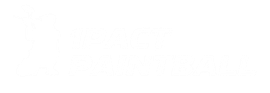 Logo de 1pact Paintball