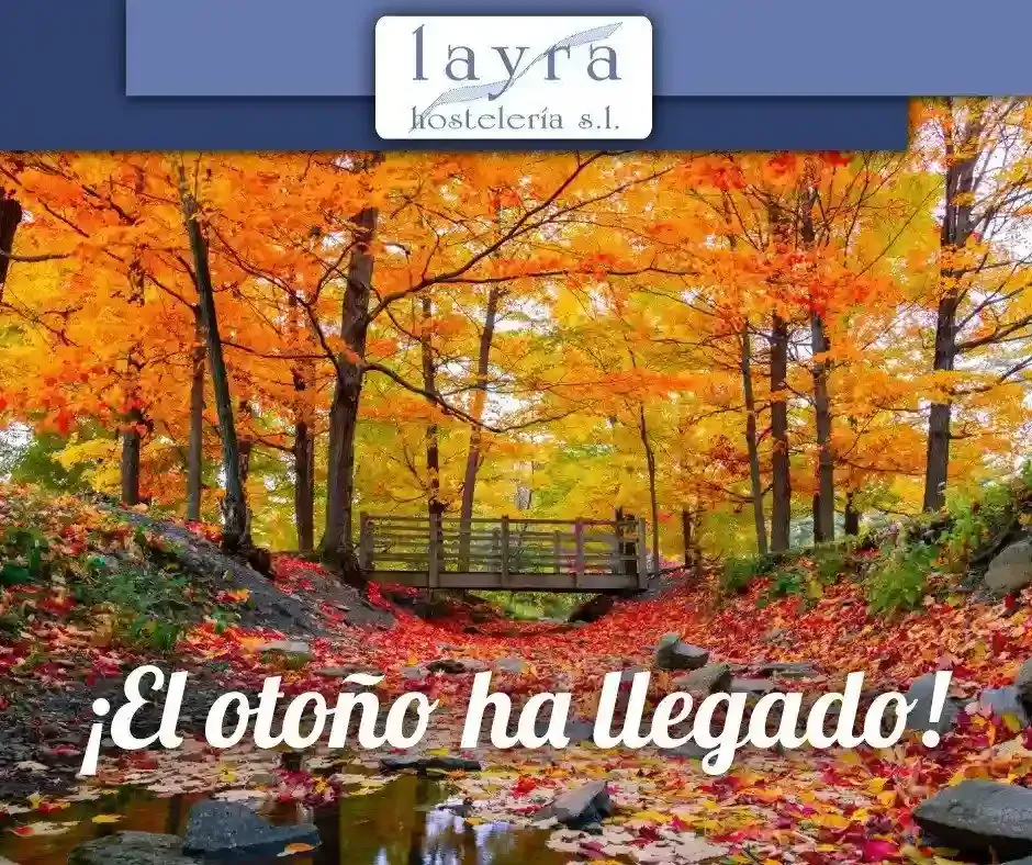 Un anuncio de Layra Hostelería SL muestra un puente en medio de un bosque.