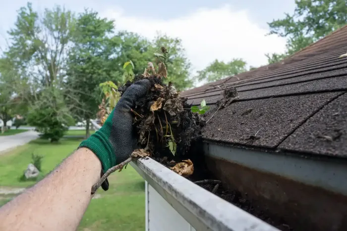 Una persona que lleva un guante de trabajo verde saca un puñado de hojas mojadas y escombros de una canaleta residencial.