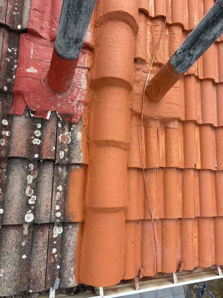 Una mano enguantada descansa sobre tejas de color gris oscuro, con árboles otoñales difuminados al fondo.