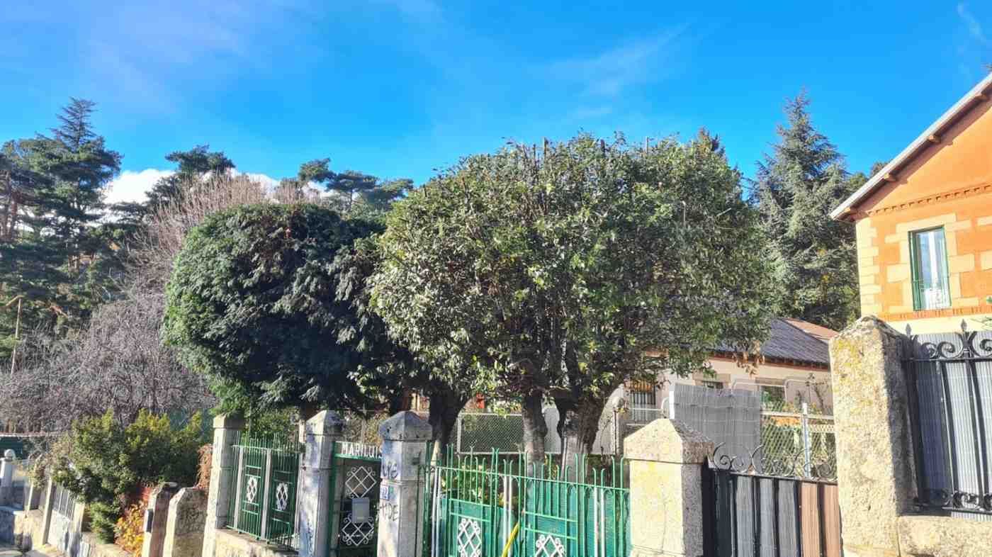 Detrás de una valla metálica decorativa y un muro de piedra, junto a una casa naranja.
