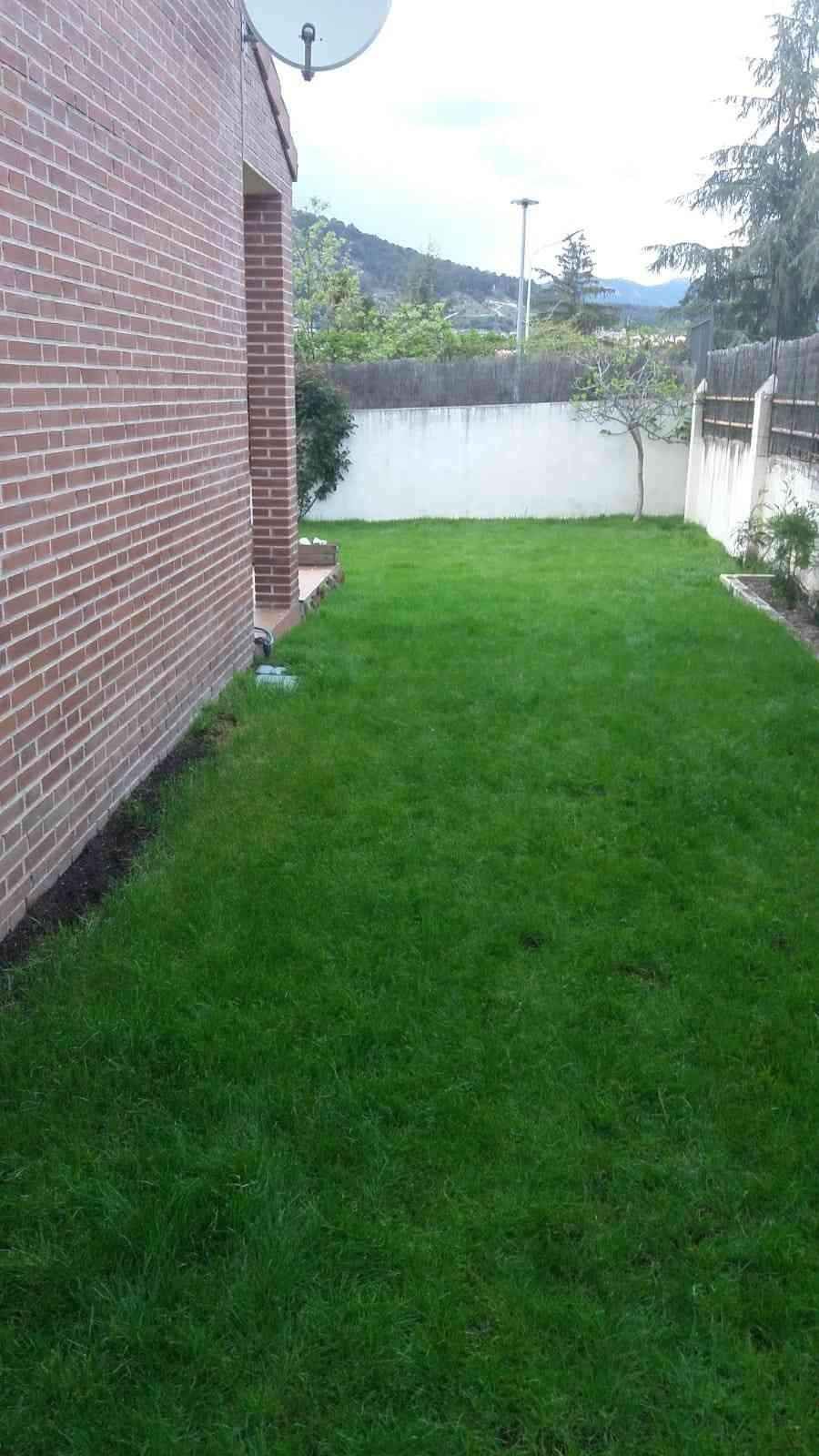 Un estrecho patio cubierto de hierba junto a la pared de ladrillo de una casa.