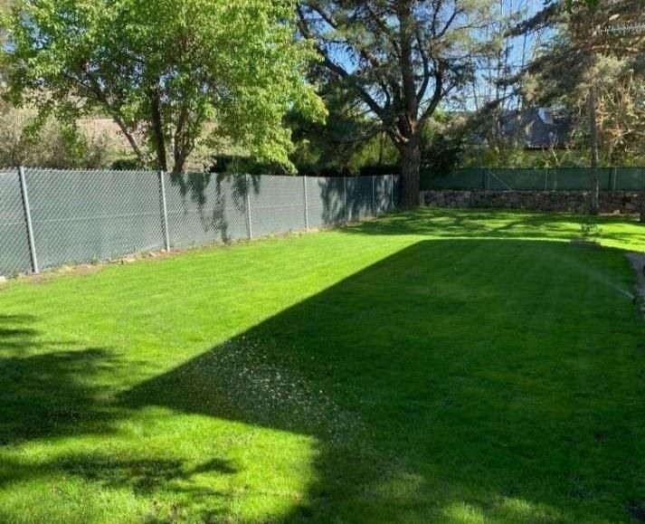 Un césped de un verde intenso, regado por un aspersor, bordeado por una valla y árboles maduros bajo un cielo azul despejado.