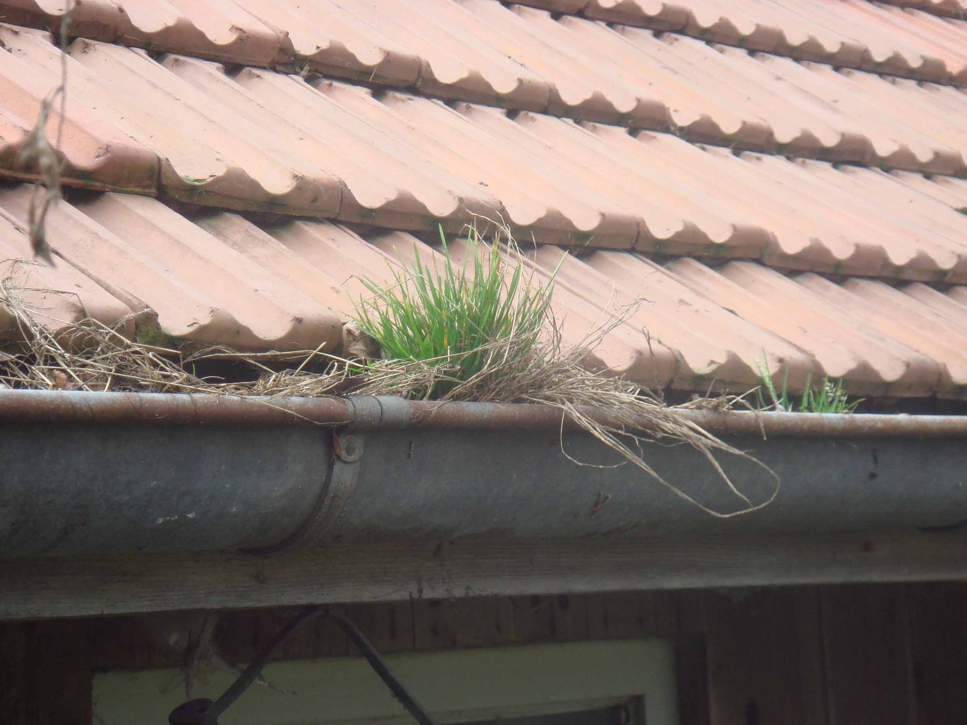 Rinnenreinigungen – Klopfenstein Spenglerei