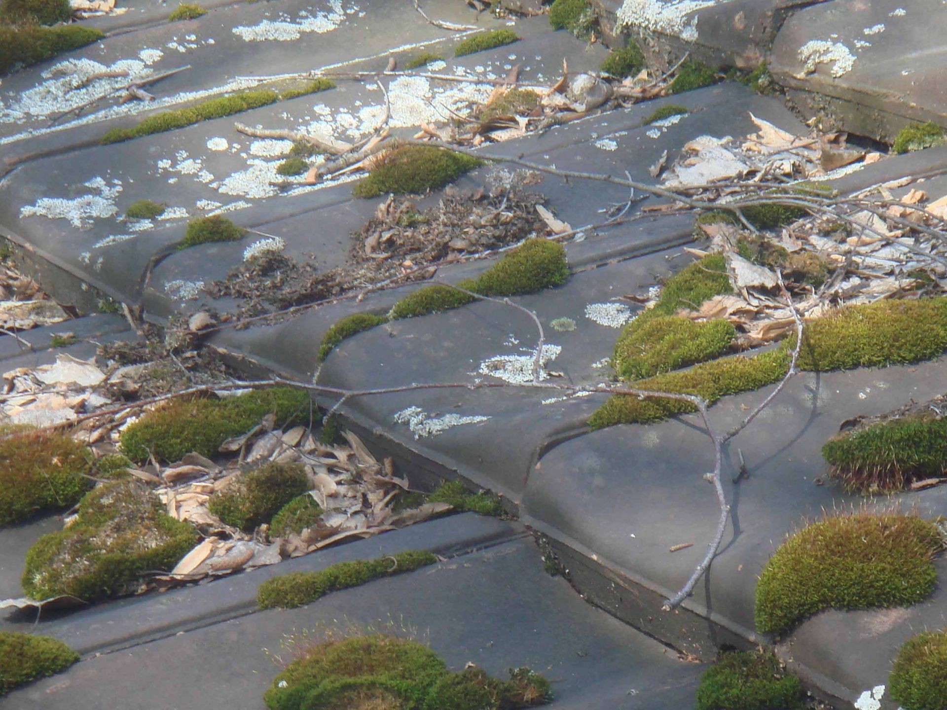 Dachreinigung – Klopfenstein Spenglerei