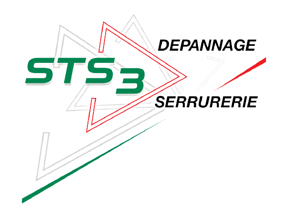 STS3