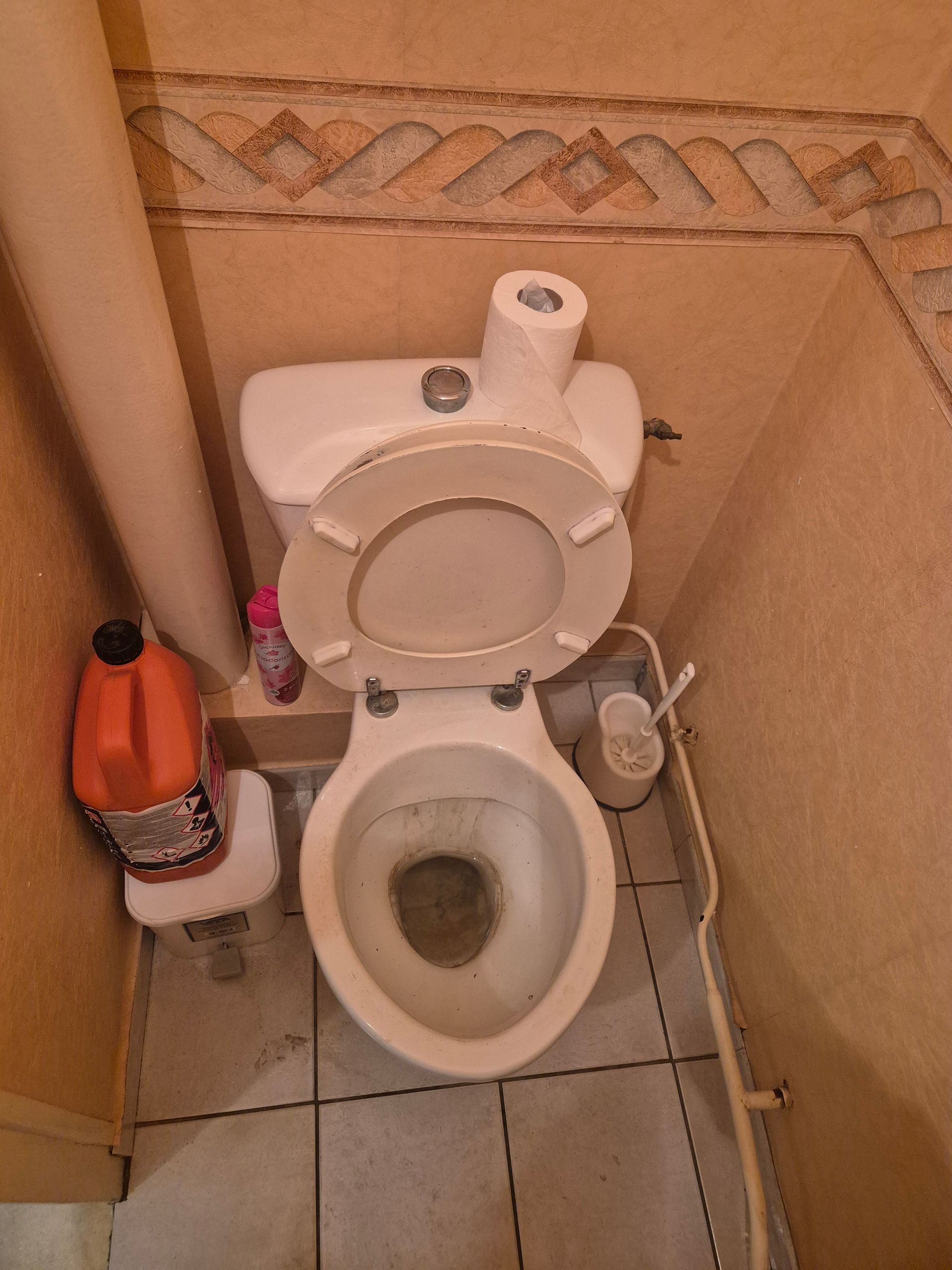 Des toilettes dans une salle de bains carrelée, avec un flacon de produit nettoyant sur le sol et un rouleau de papier toilette sur le réservoir.