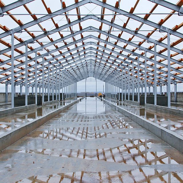 Structure en métal pour un bâtiment agricole