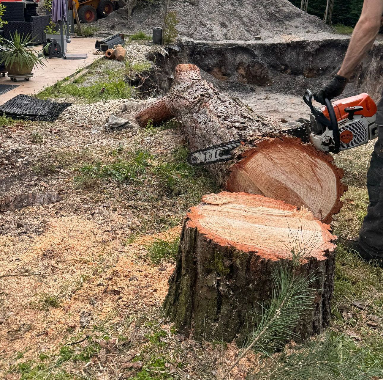 Une personne en train de découper un arbre couché à terre à l'aide d'une tronçonneuse.