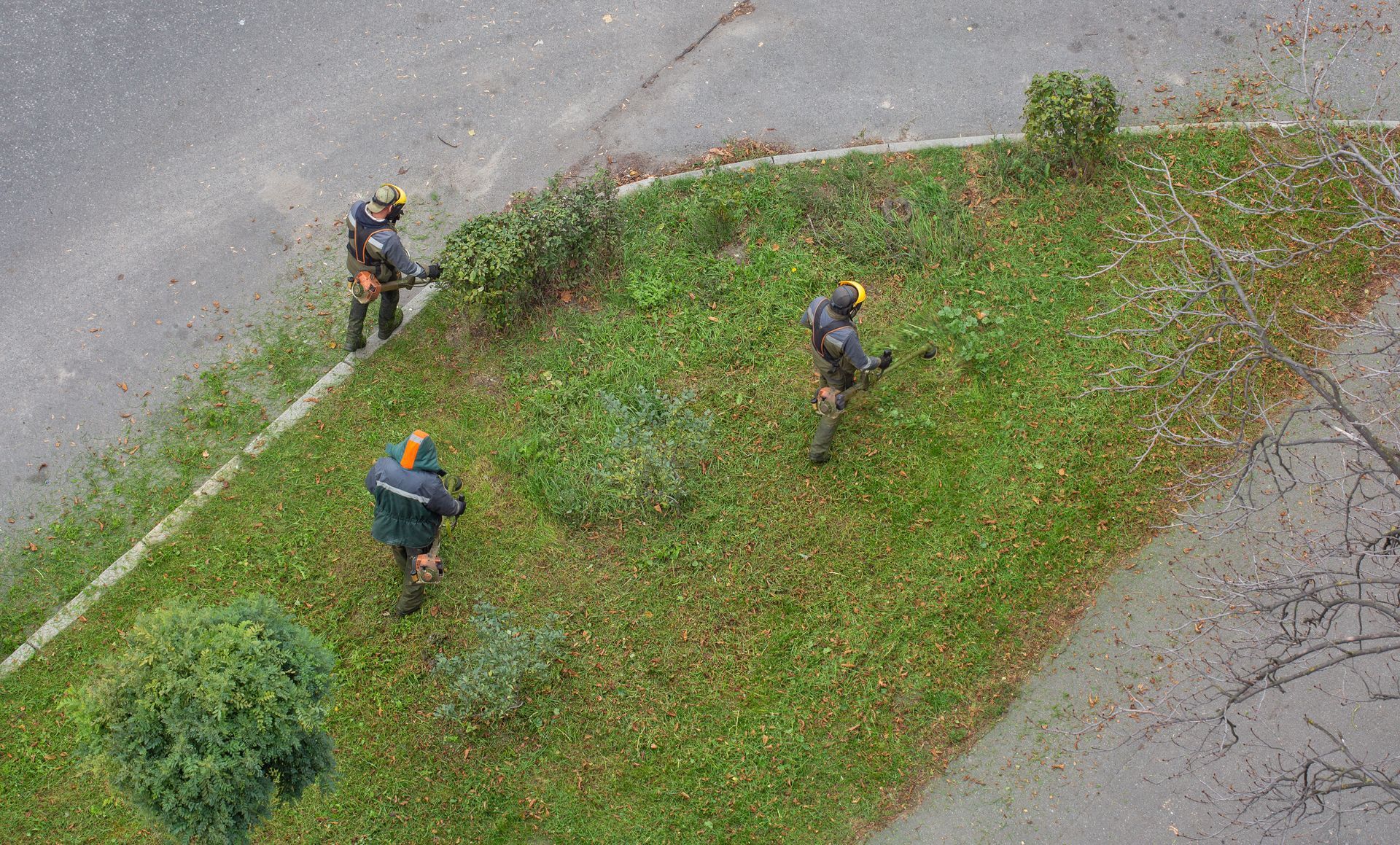 Les ouvriers tondent l'herbe avec une débroussailleuse à essence