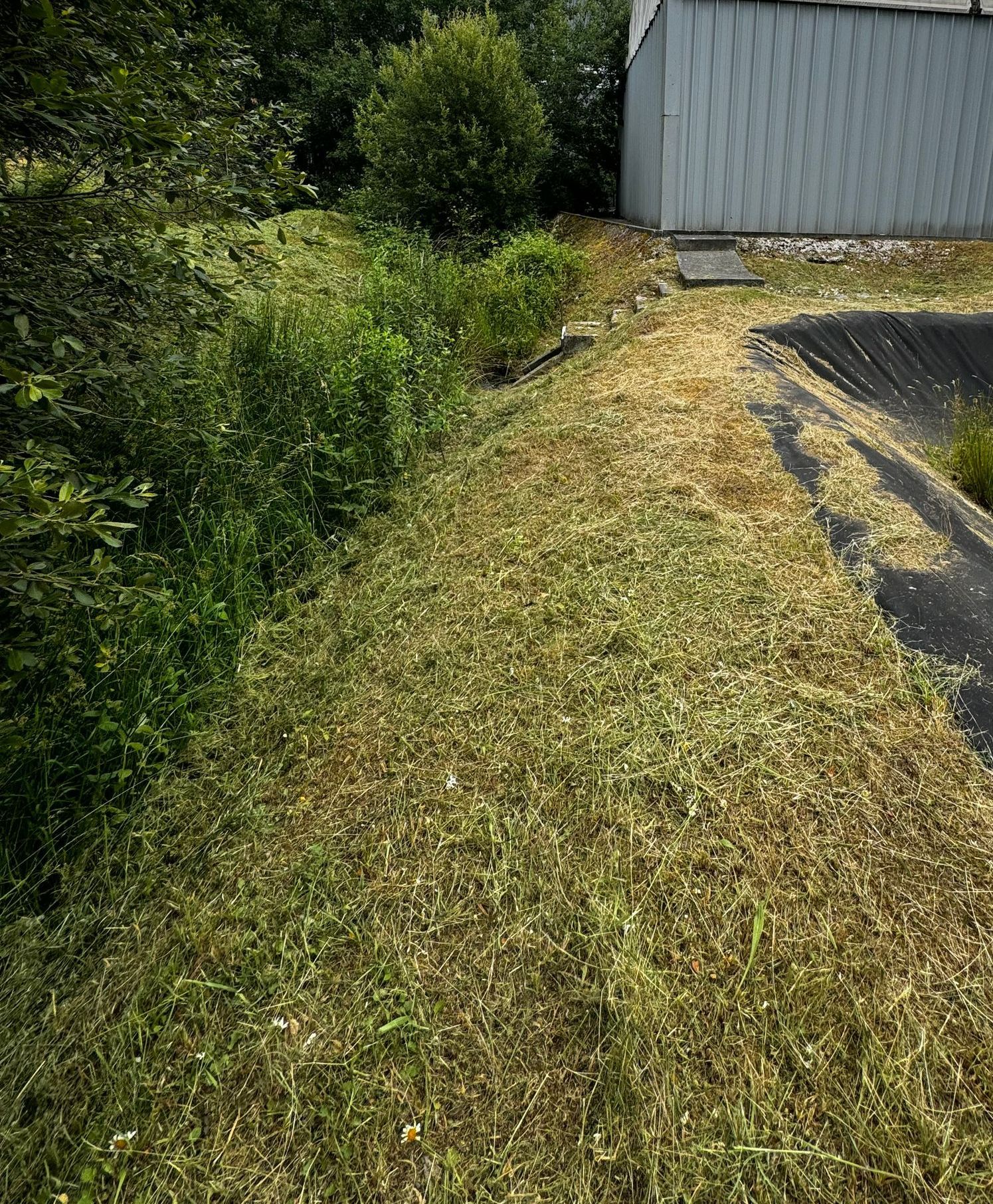 Contours d'herbe tondue.