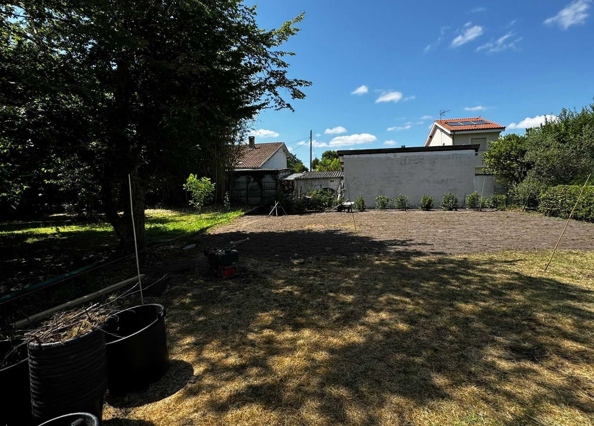 Jardin derrière une pelouse tondue.