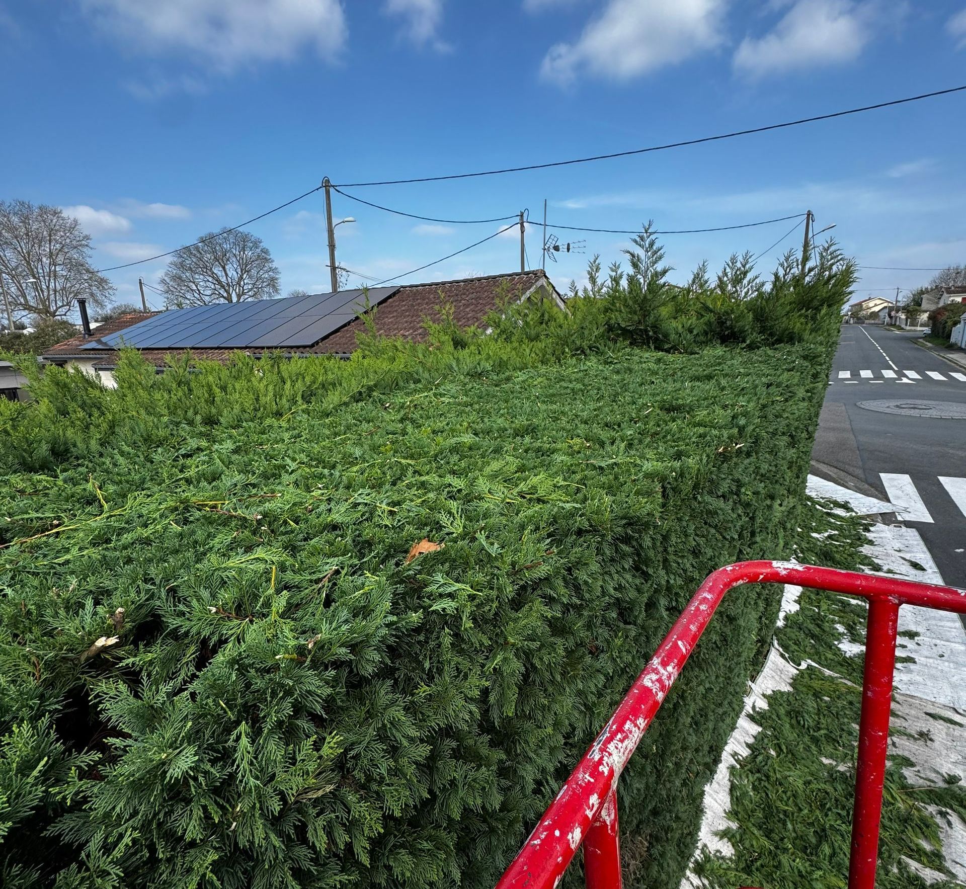 Une nacelle rouge à côté d'une haie en cours de taille.