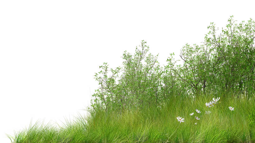 Illustration d'herbe