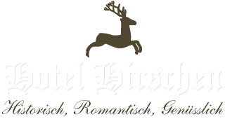 Hotelzimmer - Hotel Hirschen in Zürich