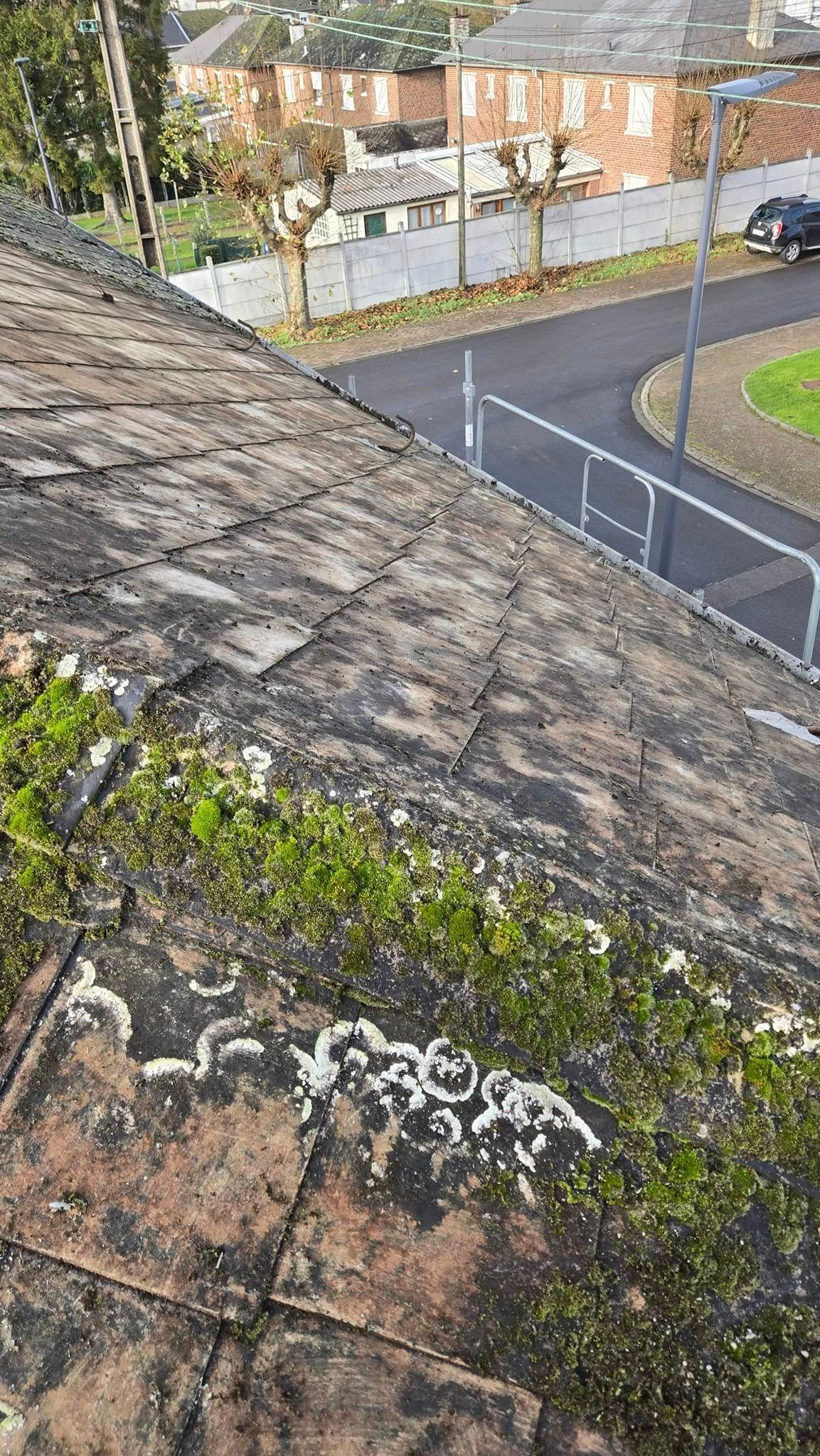 Un toit avec de la mousse