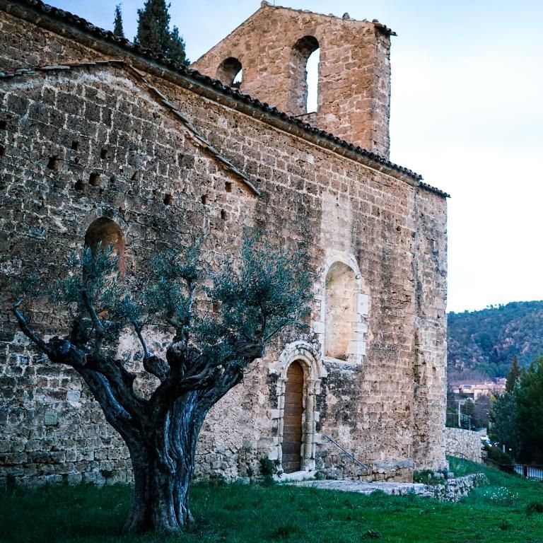 Église en pierre avec clocher et un olivier devant, se détachant sur un paysage à flanc de colline.