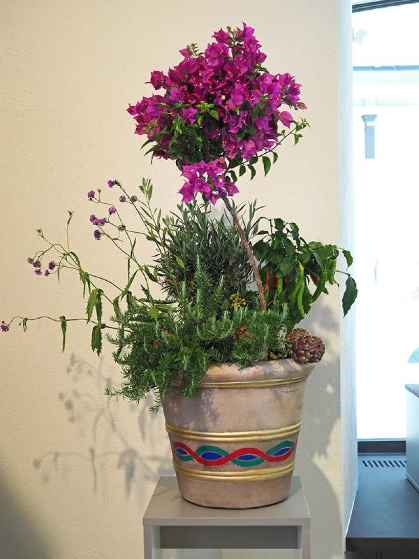 Kerstins Blumenladen pinke Blumen im Topf