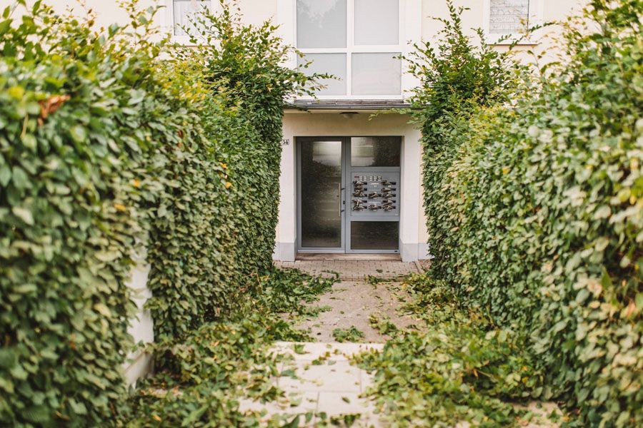 Eine üppige grüne Hecke umgibt den Eingang eines Gebäudes.