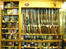 Armes de chasse