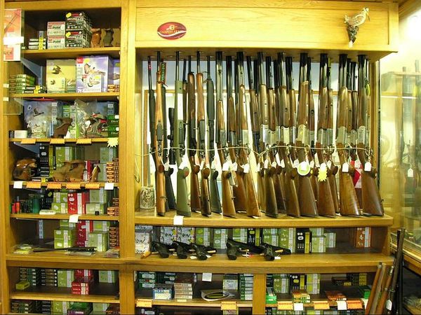 Armes de chasse