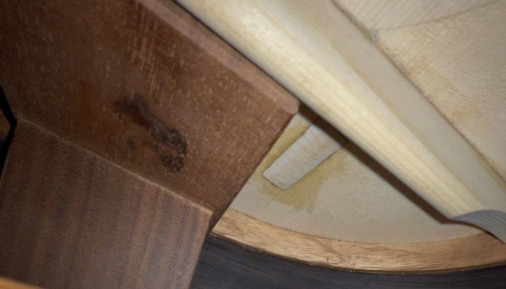 Guitarrista, Christian Tille