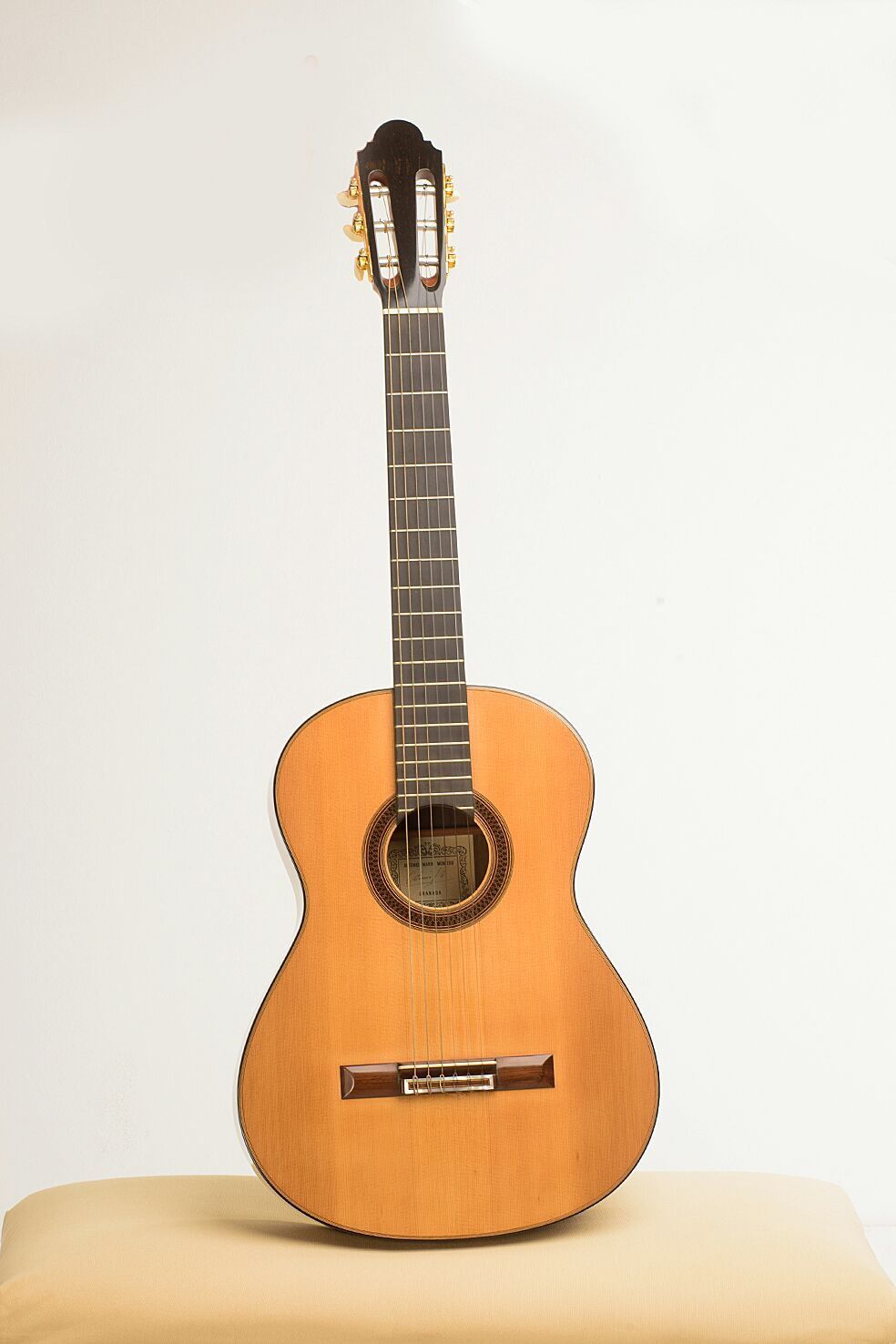 Guitarrista, Christian Tille