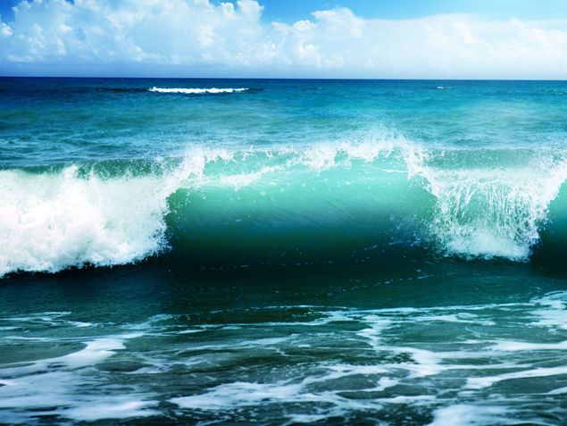 Entsorgung - Kaya Reinigung - Winkel