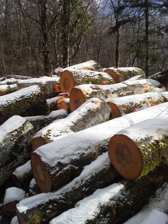 Chez Boumboum - Signy - Bois de chauffage